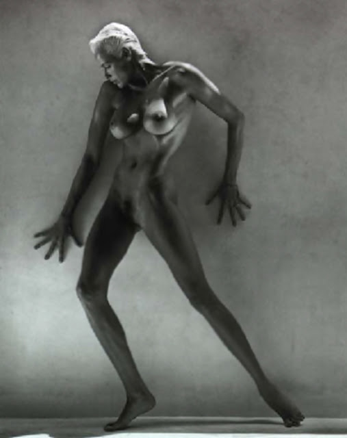 Brigitte Nielsen naked was Consider, that Brigitte Nielsen naked that would